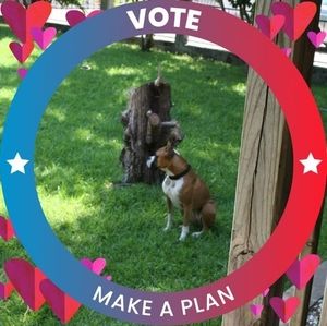 Meet your Posher, Radeen